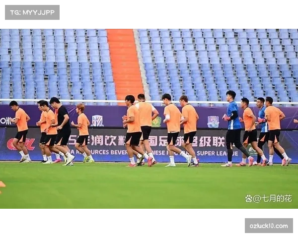 青年球员上调一线队表现评估 荷甲成年轻才俊成长沃土